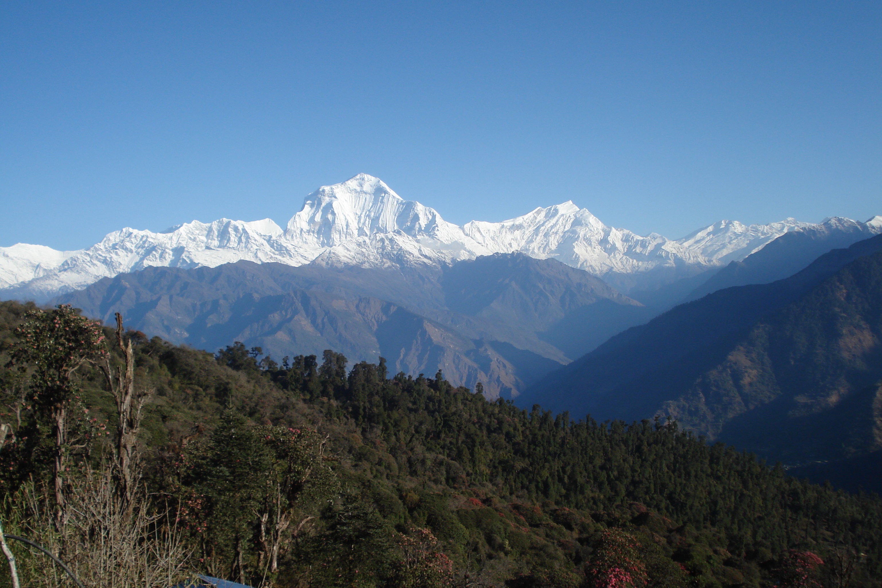 Winter Ghorepani Poon Hill Trek